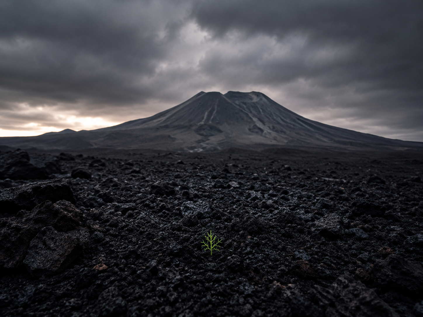 A tiny green branching sprout emerging from black volcanic ash with a volcano in the distance.